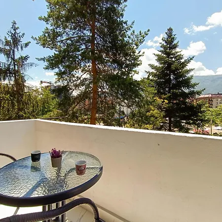 Vitosha Apartment *